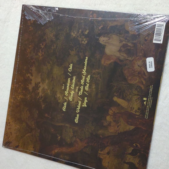 Lana Del Rey Vinyl LP Record - Picture 3 of 7